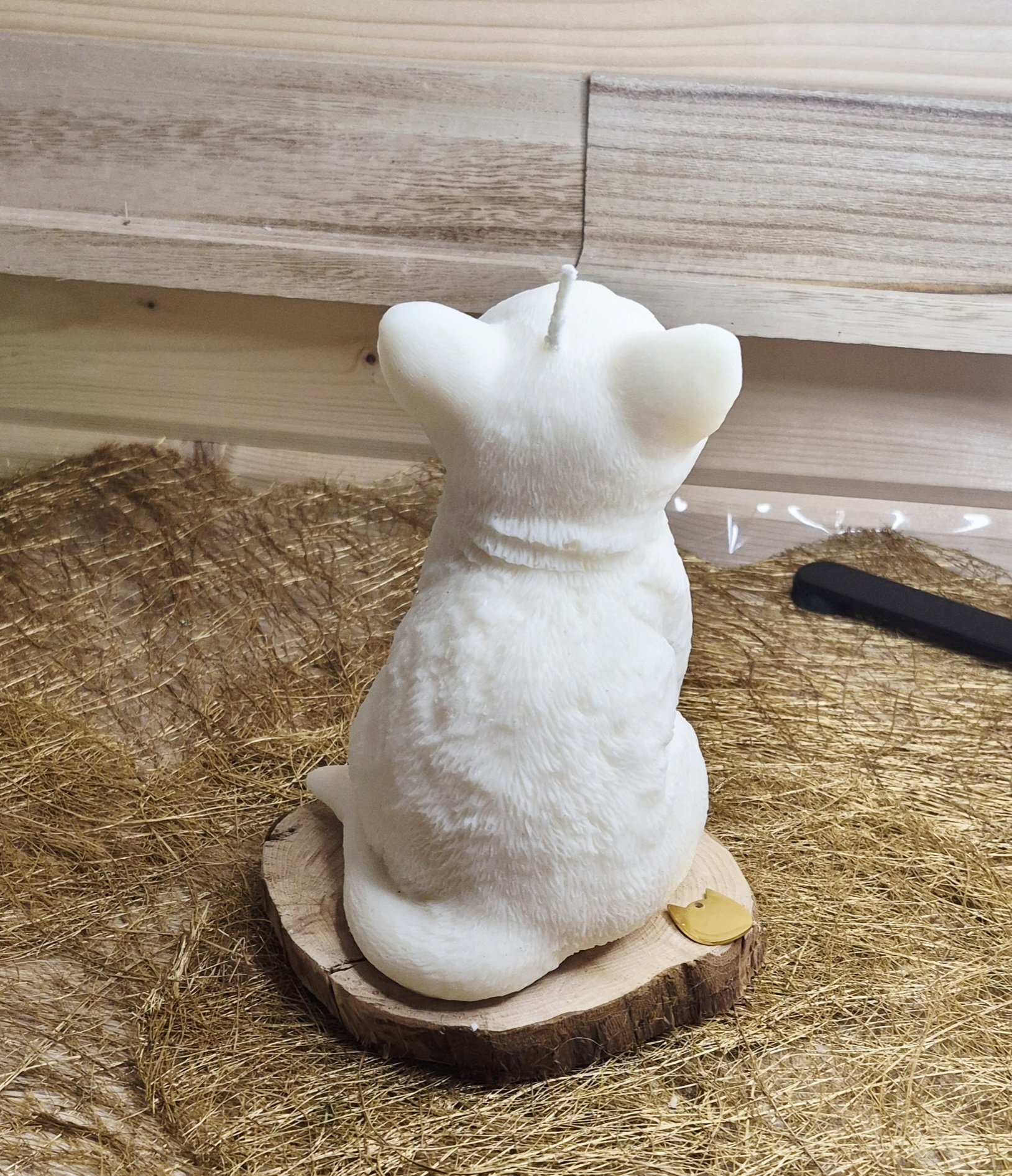 Felix – Image 4